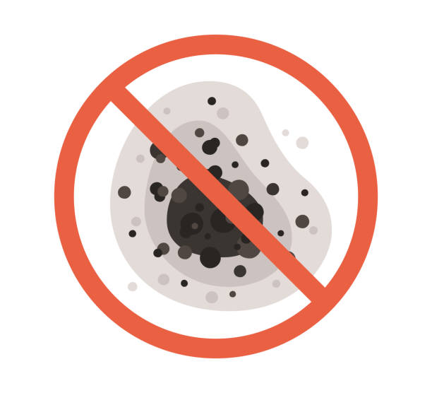 Reliable Skidmore, TX Mold Removal Solutions