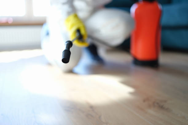 Best Real Estate Mold Inspection  in Skidmore, TX