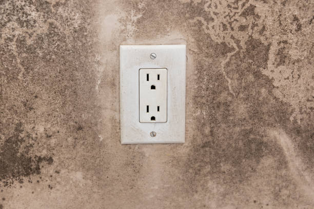 Best Mold Documentation for Insurance Claims  in Skidmore, TX